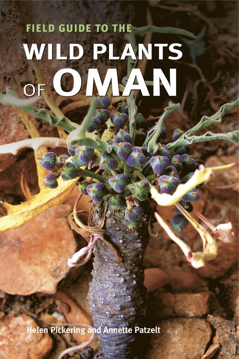 Field Guide to the Wild Plants of Oman