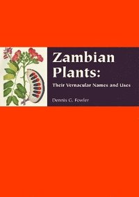 bokomslag Zambian Plants