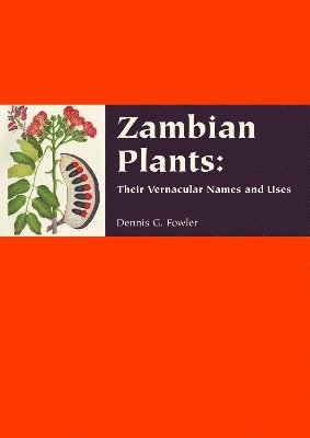 Zambian Plants 1