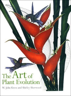 Art of Plant Evolution, The