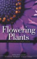 Leon Gray, V. H. Heywood et al - Flowering Plants A Concise Pictorial Guide, Häftad