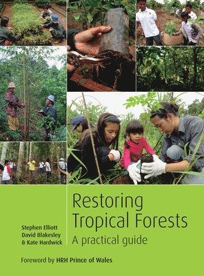 Restoring Tropical Forests 1