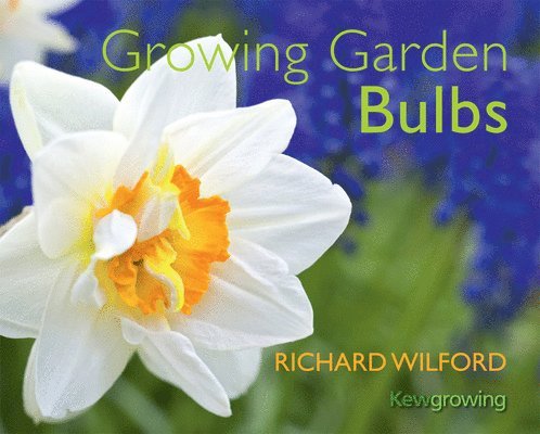 GROWING GARDEN BULBS