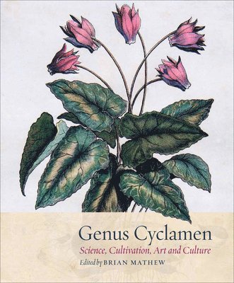 Genus Cyclamen 1