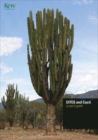 bokomslag CITES and Cacti