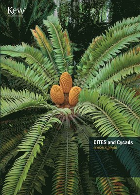 bokomslag CITES and Cycads