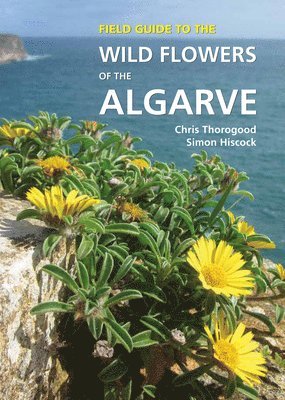 Field Guide to the Wild Flowers of the Algarve
