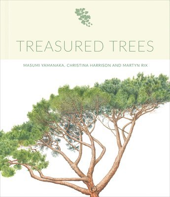 bokomslag Treasured Trees