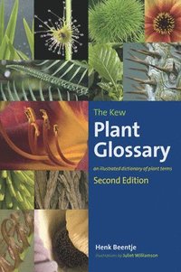 bokomslag Kew Plant Glossary, The