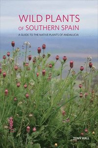 bokomslag Wild Plants of Southern Spain
