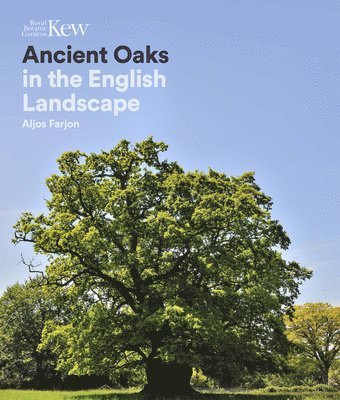 Farjon, A: Ancient Oaks