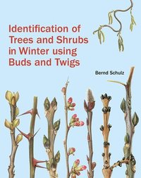 bokomslag Identification of Trees and Shrubs in Winter Using Buds and Twigs