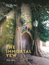 bokomslag Immortal Yew, The
