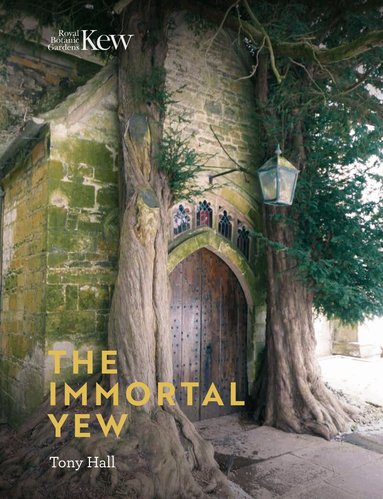 Tony Hall - Immortal Yew, The, Inbunden