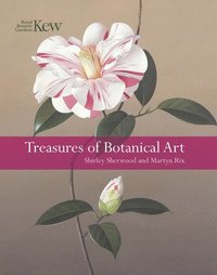 bokomslag Treasures of Botanical Art