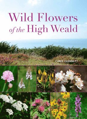 Wild Flowers of the High Weald 1