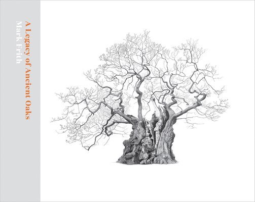 Legacy of Ancient Oaks 1