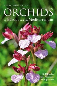 bokomslag Field Guide to the Orchids of Europe and the Mediterranean