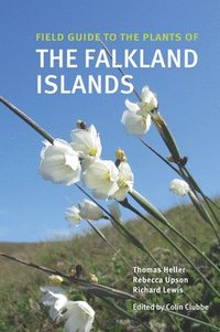 bokomslag Field Guide to the Plants of the Falkland Islands