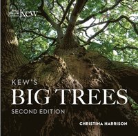 bokomslag Kews Big Trees