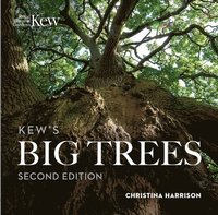 bokomslag Kew's Big Trees