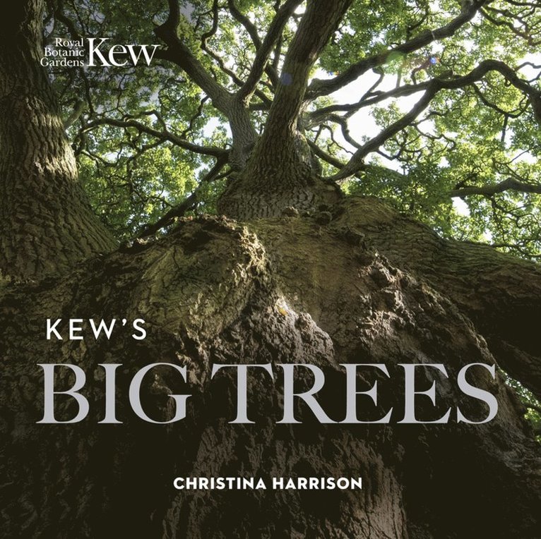 Christina Harrison, Christina - Kew’s Big Trees, Häftad