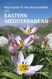 bokomslag Field Guide to the Wild Flowers of the Eastern Mediterranean