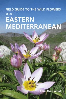 Field Guide to the Wild Flowers of the Eastern Mediterranean 1