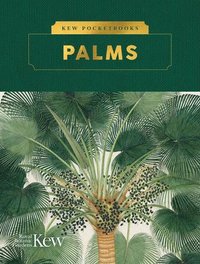 bokomslag Kew Pocketbooks: Palms