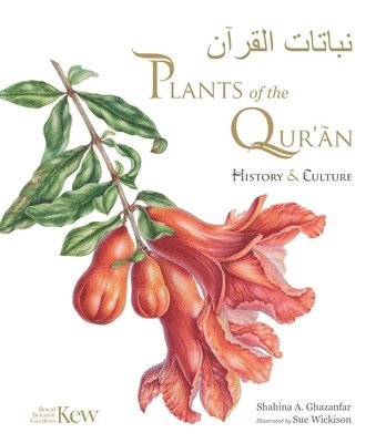 Plants of the Quran 1