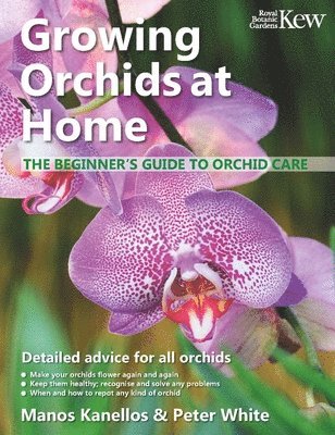 Kanellos, M: Growing Orchids at Home