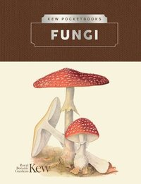 bokomslag Kew Pocketbooks: Fungi