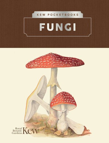 bokomslag Kew Pocketbooks: Fungi
