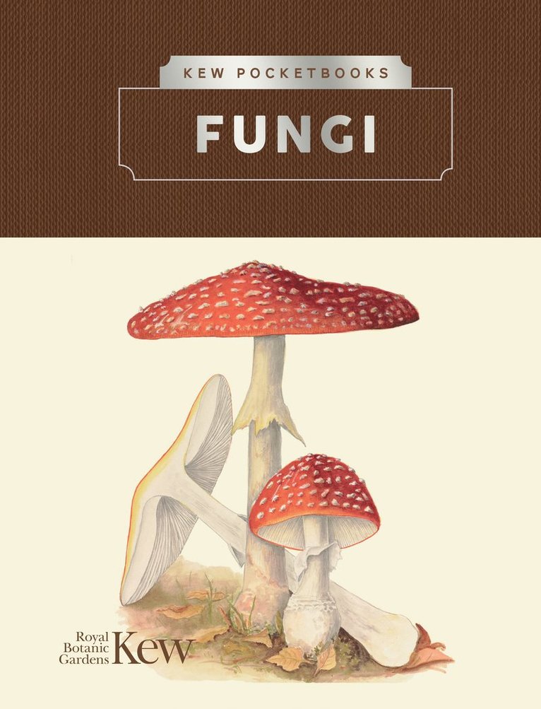 Kew Pocketbooks: Fungi 1