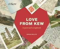 bokomslag Love from Kew