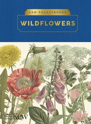 Ed Ikin - Kew Pocketbooks: Wildflowers, Inbunden