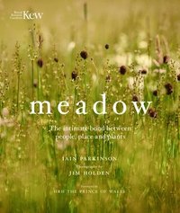 bokomslag Meadow