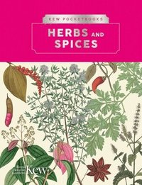 bokomslag Kew Pocketbooks: Herbs and Spices