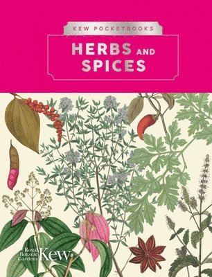 bokomslag Kew Pocketbooks: Herbs and Spices