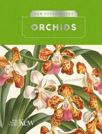 bokomslag Kew Pocketbooks: Orchids