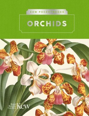 Kew Pocketbooks: Orchids 1