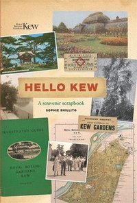 bokomslag Hello Kew