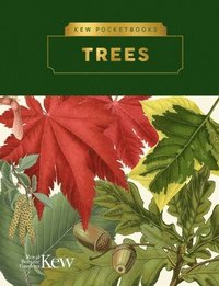 bokomslag Kew Pocketbooks: Trees