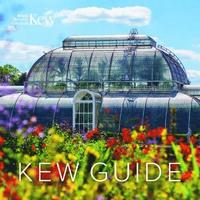 bokomslag Kew Guide