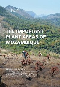 bokomslag The Important Plant Areas of Mozambique