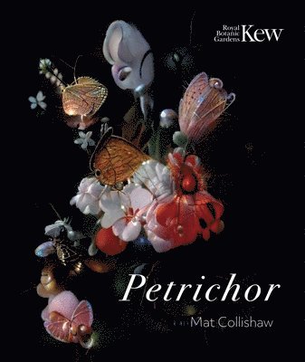 bokomslag Petrichor