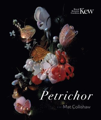 Petrichor 1