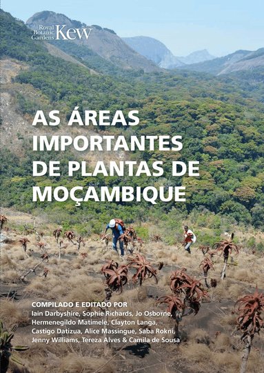 Iain Darbyshire, Sophie Richards, Jo Osborne - As Áreas Importantes de Plantas de Moçambique, Häftad