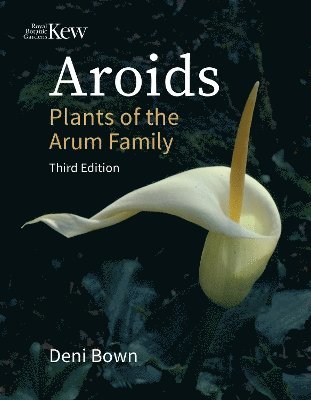 Aroids 1