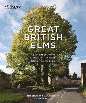 Great British Elms 1